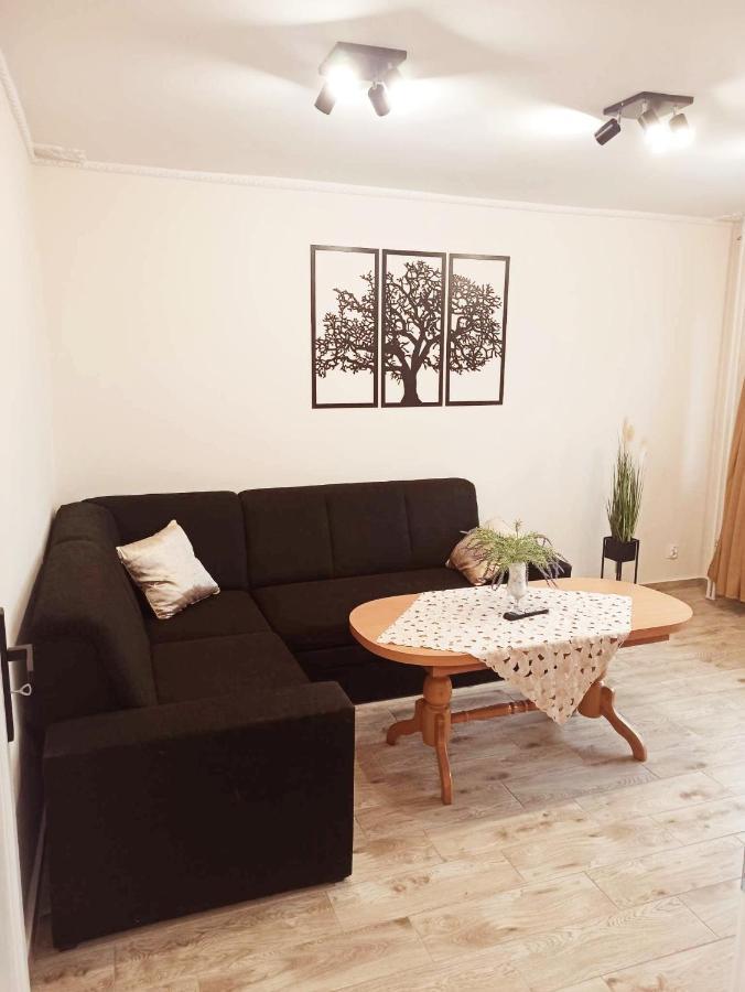 Apartament Centrum Miedzychod Exteriér fotografie